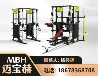 南平多功能综合训练器